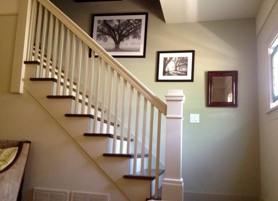 This is an example of a medium sized classic wood straight staircase in Chicago with painted wood risers.