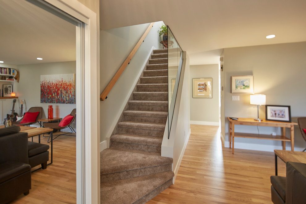 This is an example of a medium sized eclectic carpeted straight staircase in Other with carpeted risers.