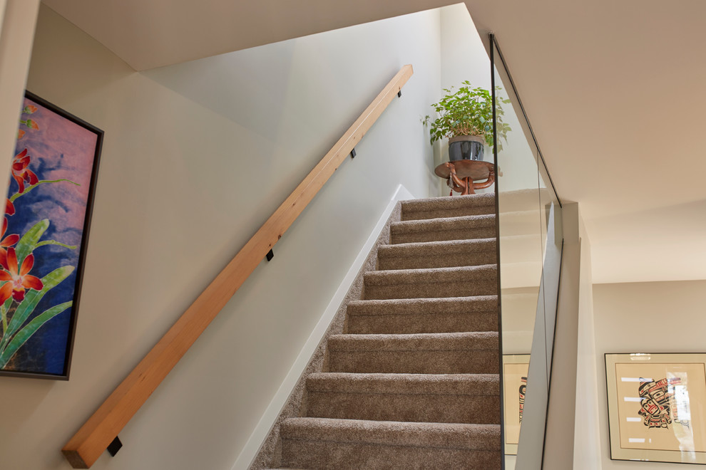 Идея дизайна: прямая лестница среднего размера в стиле фьюжн с ступенями с ковровым покрытием и ковровыми подступенками