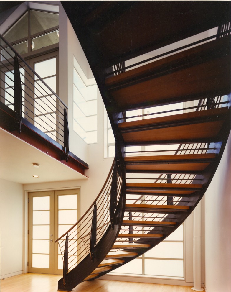 Cette image montre un escalier design.