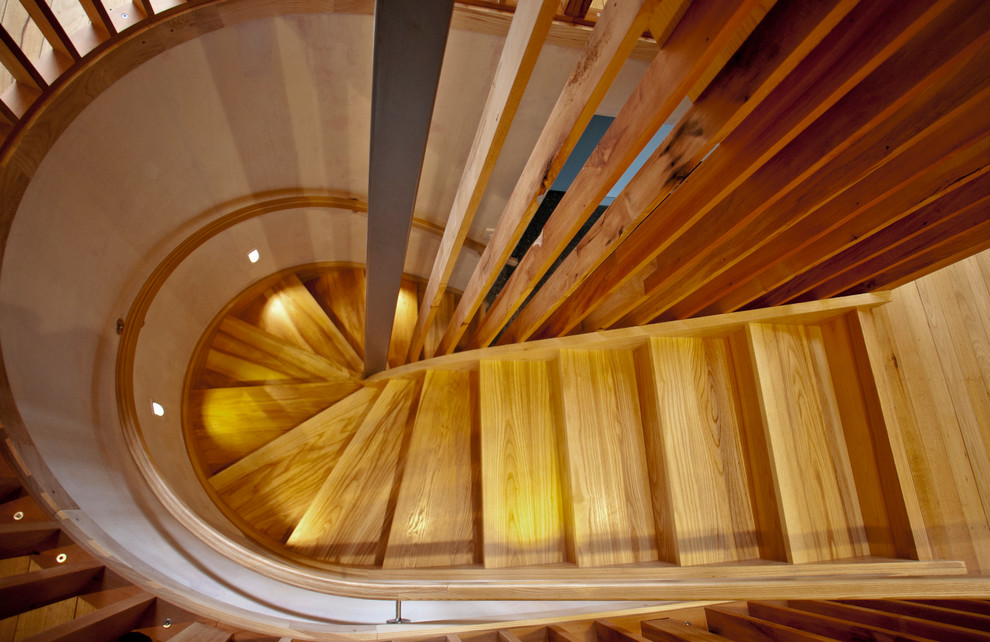 Источник вдохновения для домашнего уюта: большая изогнутая деревянная лестница в современном стиле с деревянными ступенями и деревянными перилами