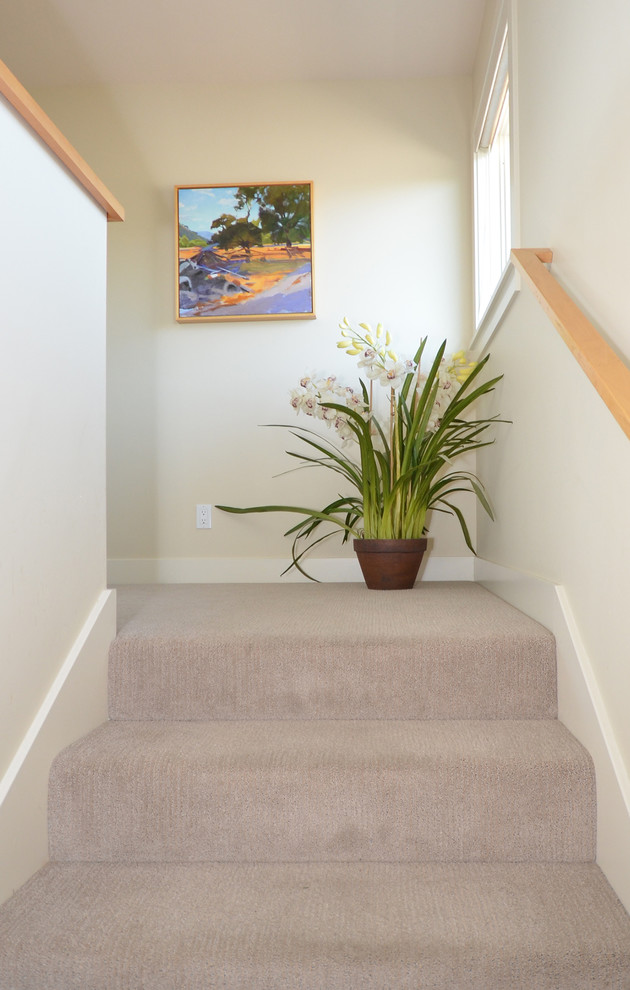 Photo of a nautical carpeted straight staircase in San Francisco with carpeted risers.