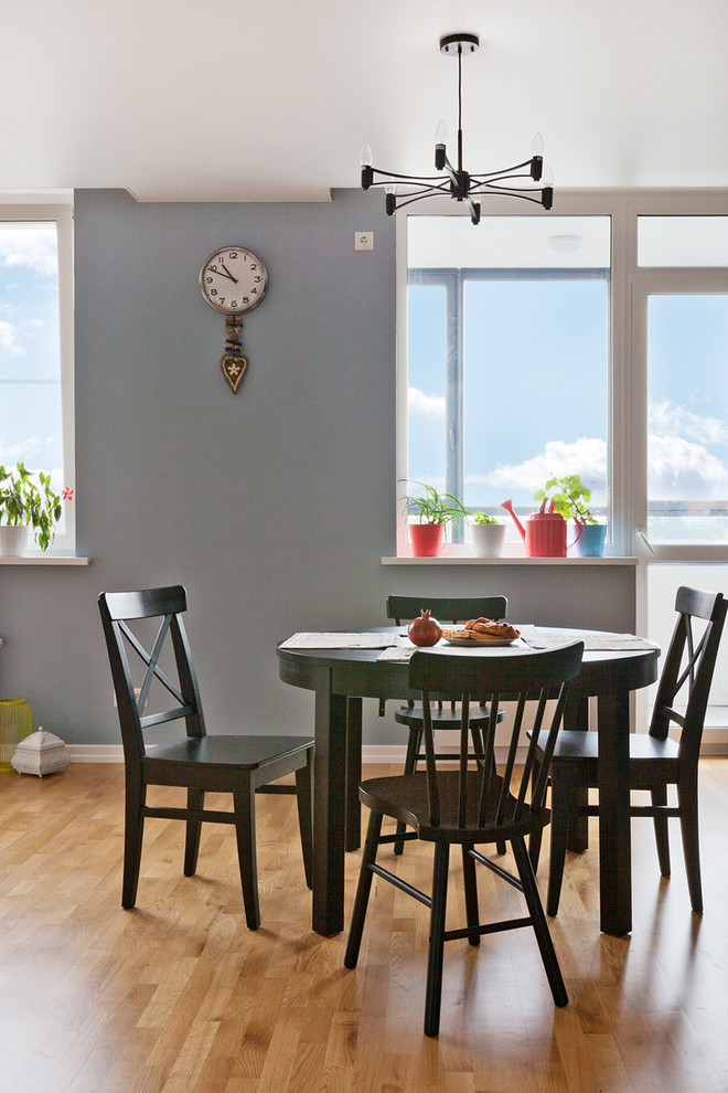 Modelo de comedor actual de tamaño medio abierto con paredes azules y suelo de madera en tonos medios