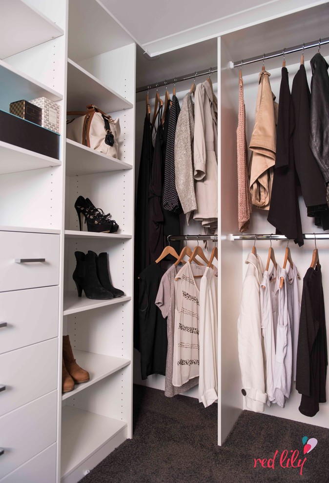 Inspiration för små walk-in-closets för kvinnor, med öppna hyllor, vita skåp och heltäckningsmatta