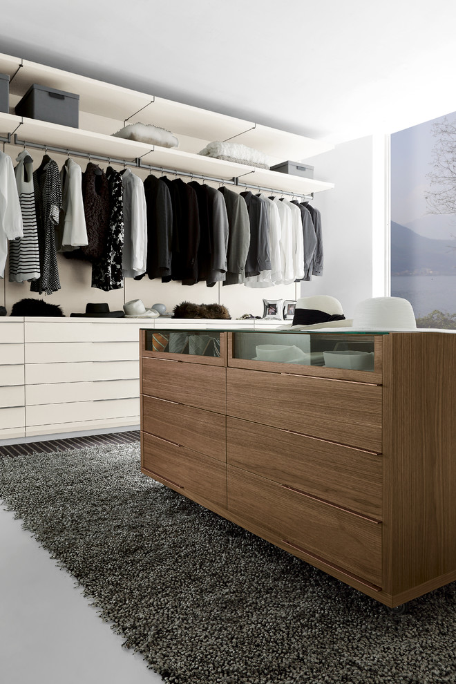 Идея дизайна: большая гардеробная комната унисекс в стиле модернизм
