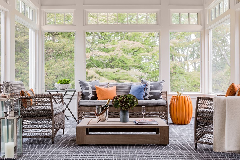 Transitional carpeted sunroom photo in Boston with a standard ceiling