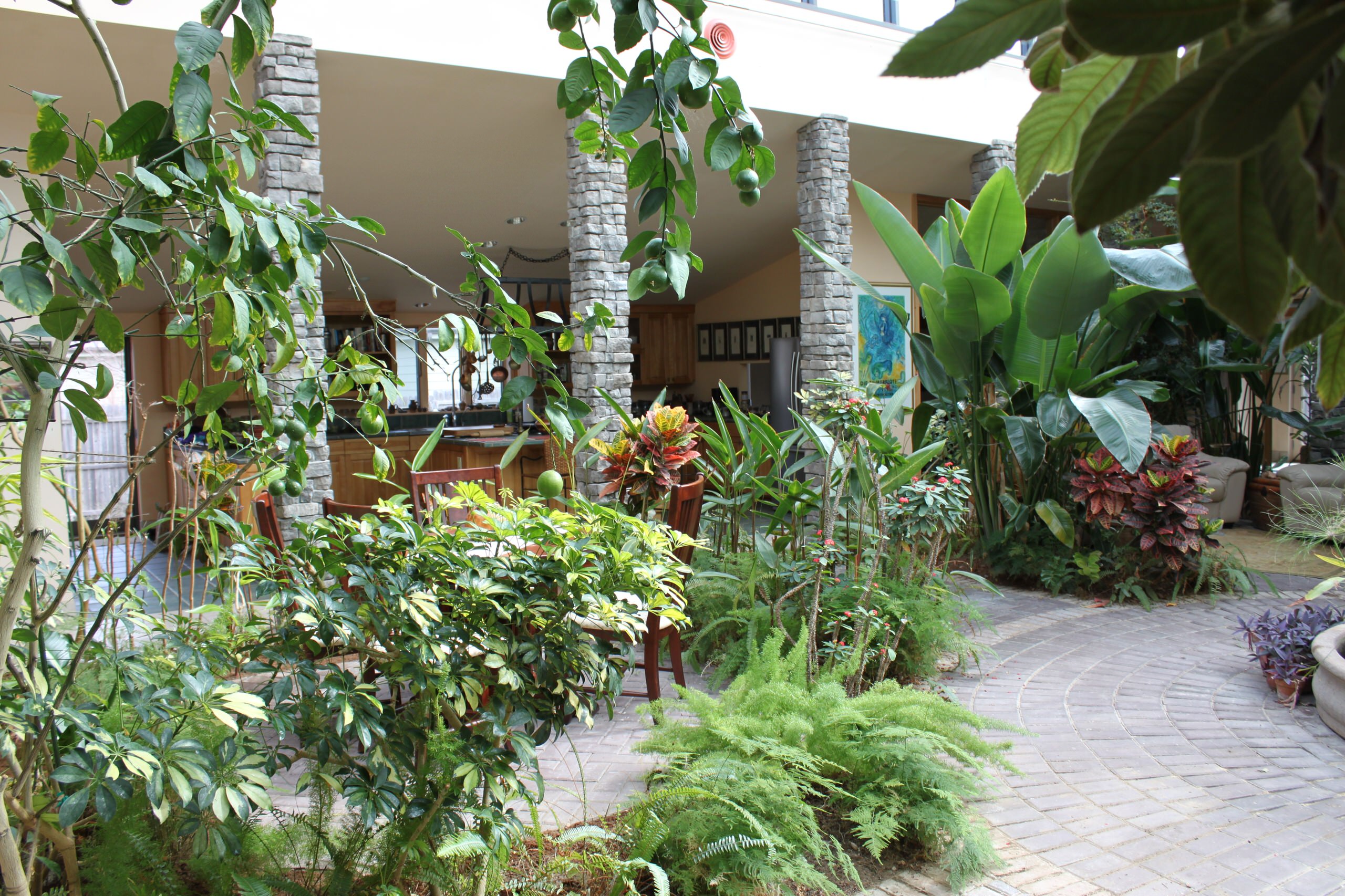 Garden Atrium - Tropical - Sunroom - DC Metro - by Sustainable Design Group  | Houzz