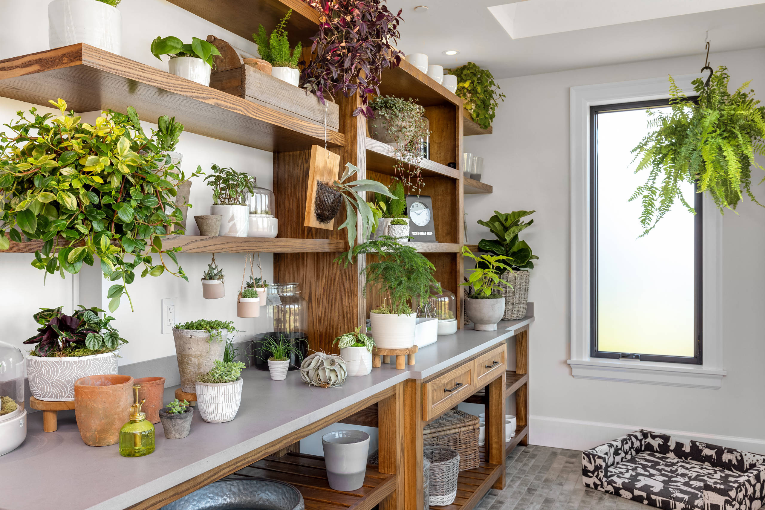Modern English Farmhouse Hillsboro Oregon Farmhouse Sunroom Portland By Westlake Development Group Llc Houzz