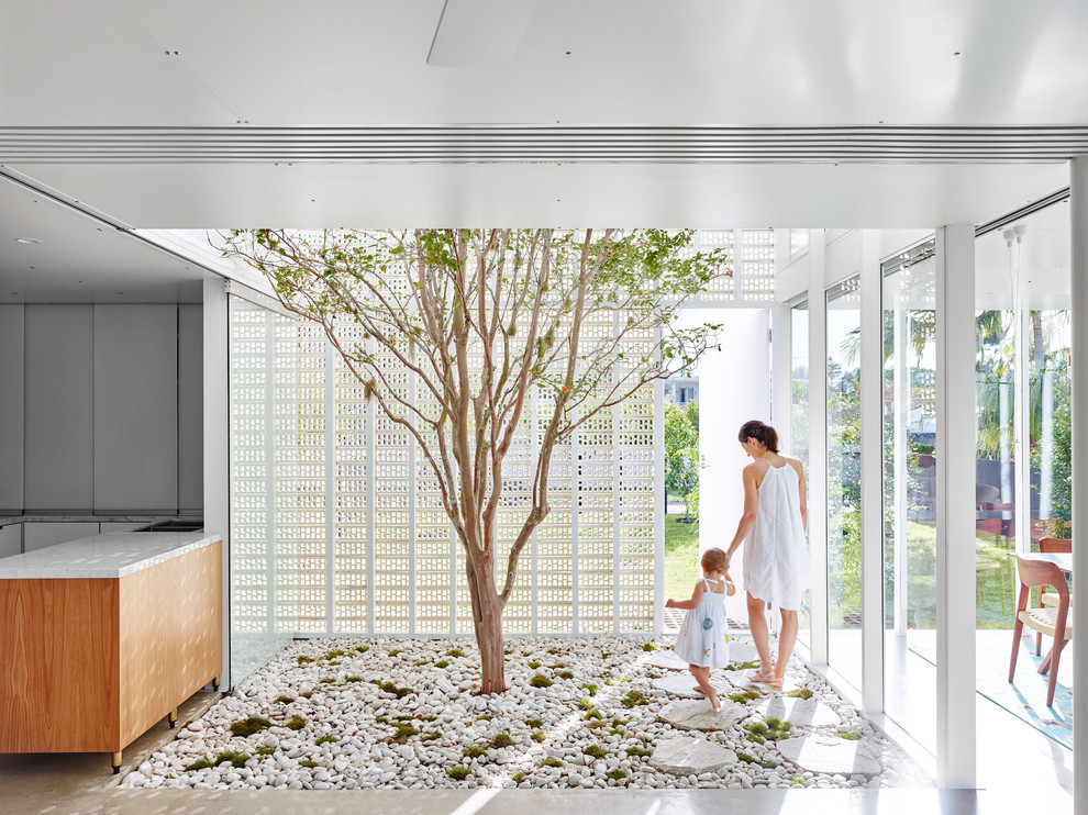 Ispirazione per una veranda design di medie dimensioni con pavimento in cemento