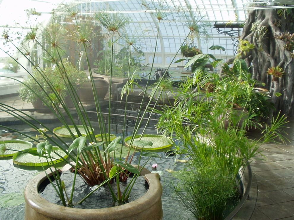 Immagine di un'ampia veranda tropicale con pavimento in cemento e soffitto in vetro