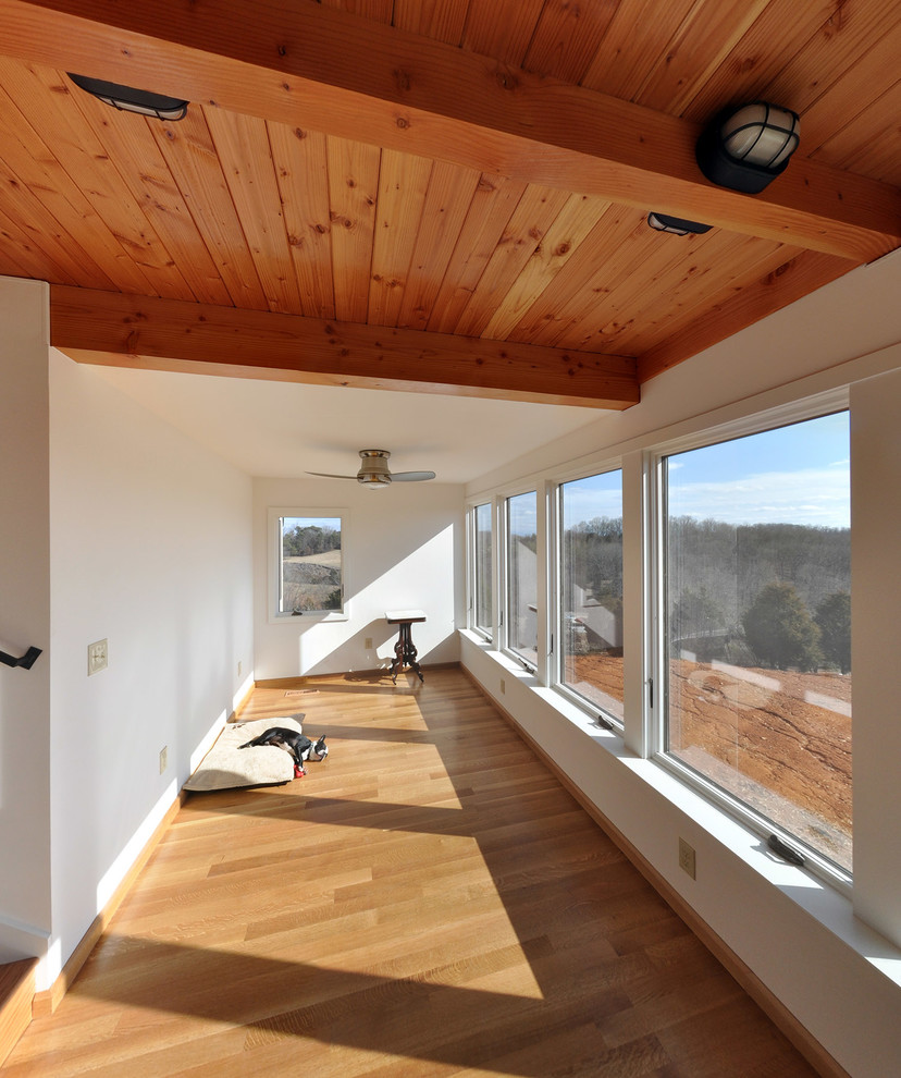 Immagine di una piccola veranda rustica con pavimento in legno massello medio e soffitto classico