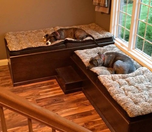 Dog room ideas - how to create a room for your dog
