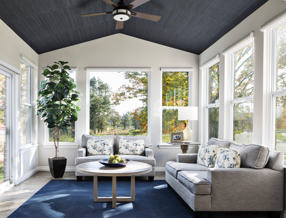 Transitional sunroom photo in Other with no fireplace and a standard ceiling
