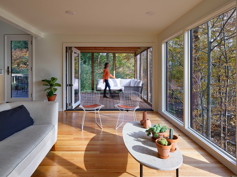Immagine di una veranda minimalista di medie dimensioni con parquet chiaro, nessun camino e soffitto classico