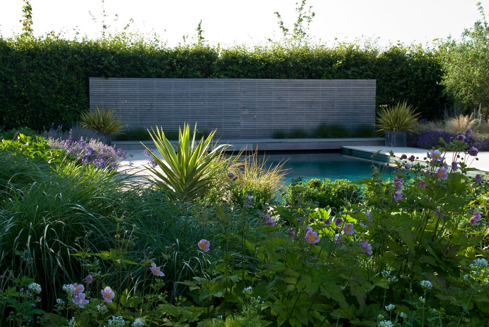 Idée de décoration pour une piscine arrière victorienne de taille moyenne et rectangle avec une terrasse en bois.
