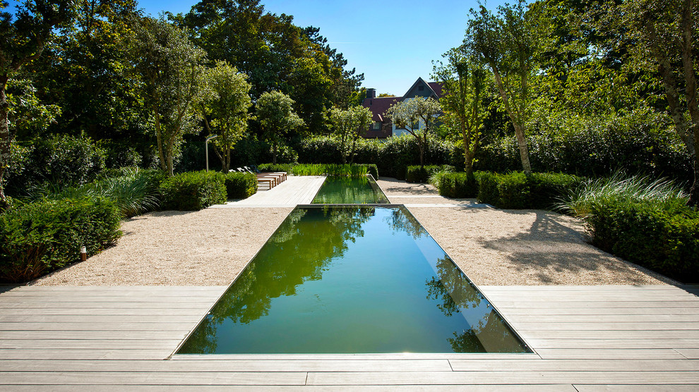 Exemple d'une très grande piscine à débordement et arrière tendance rectangle avec une terrasse en bois.