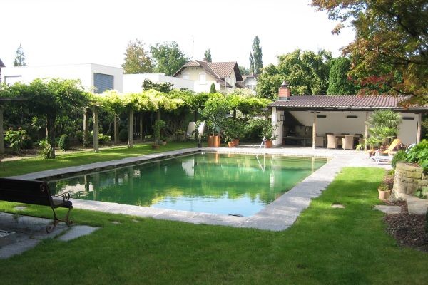 Contemporary rectangular natural swimming pool in Other.
