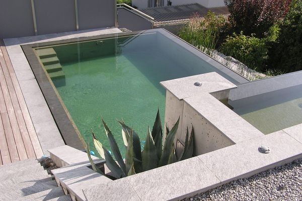 Inspiration for a contemporary rectangular natural swimming pool in Other.