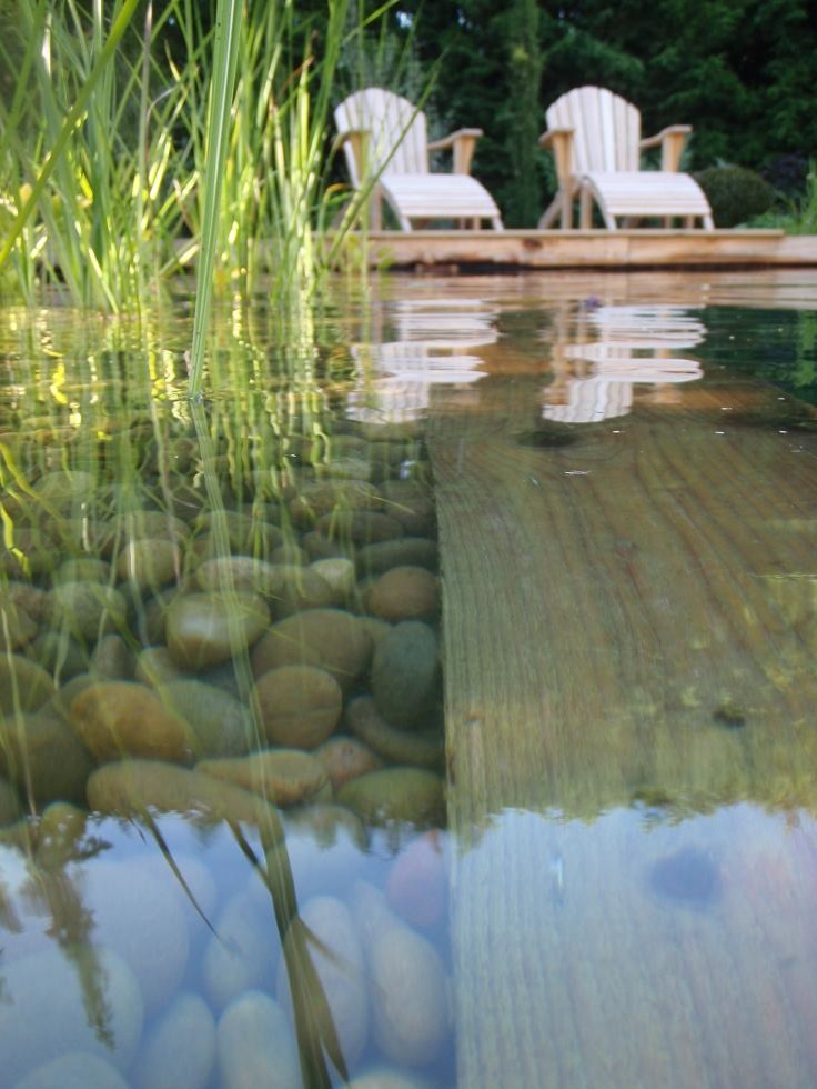 Inspiration for a medium sized contemporary rectangular natural swimming pool in Other with decking.