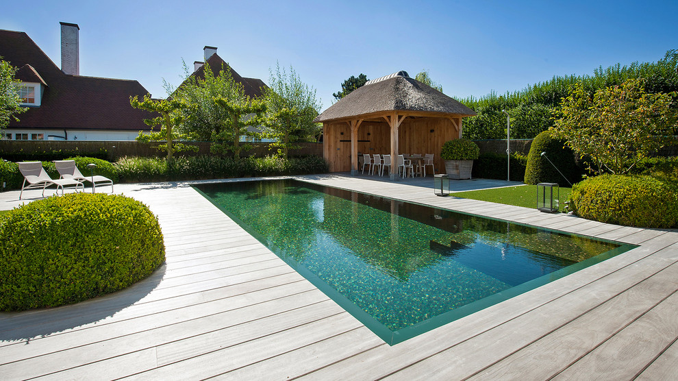 Esempio di una piscina a sfioro infinito design rettangolare dietro casa con una dépendance a bordo piscina e pedane