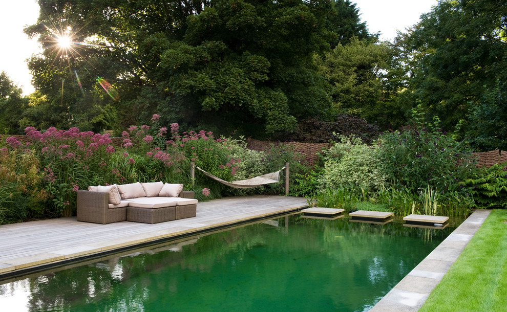 Modelo de piscina natural clásica rectangular en patio trasero con entablado
