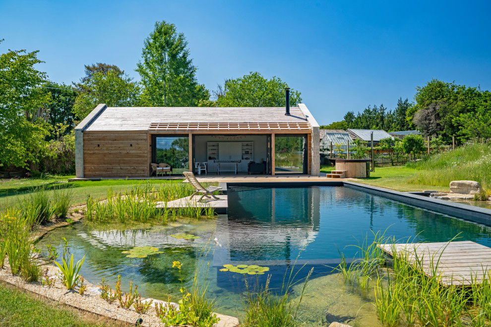 Inspiration for a rural custom shaped natural swimming pool in Wiltshire.