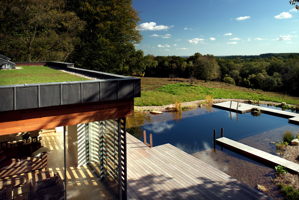Modern swimming pool in Hampshire with decking.