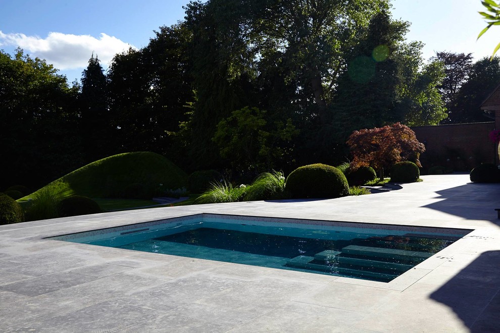 Пример оригинального дизайна: прямоугольный бассейн на заднем дворе в современном стиле с покрытием из плитки