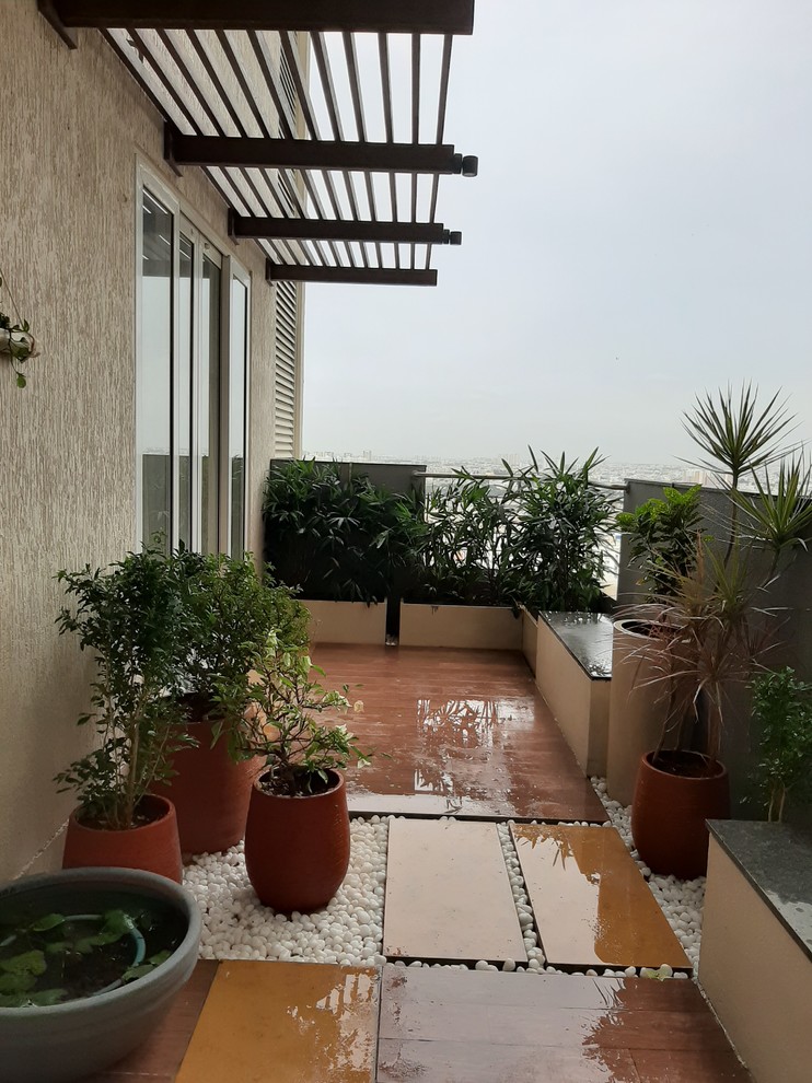 Esempio di un grande balcone minimalista con un giardino in vaso