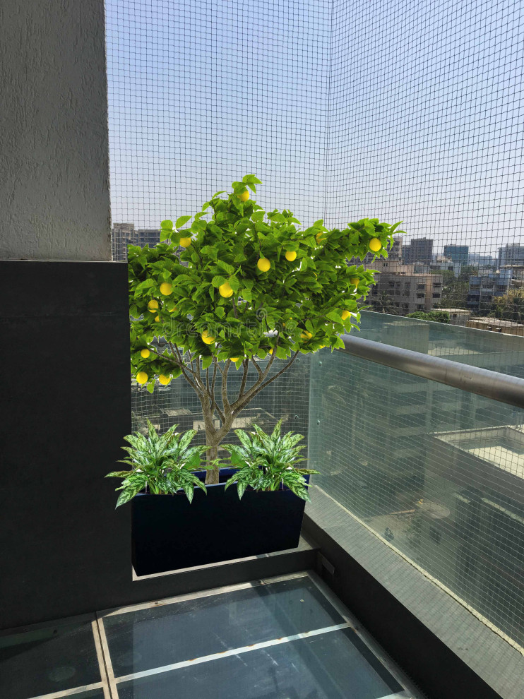 Project No.133 Modern Balcony Mumbai by GreenCausa Houzz