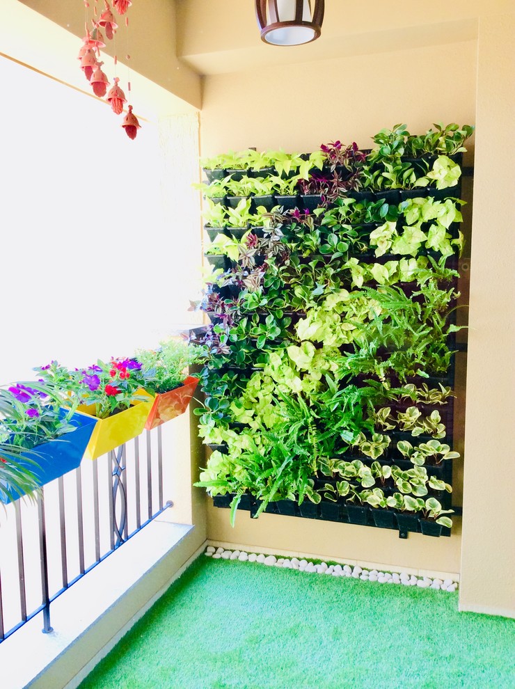 Vertical Garden/Green Walls Indian Balcony Bengaluru by