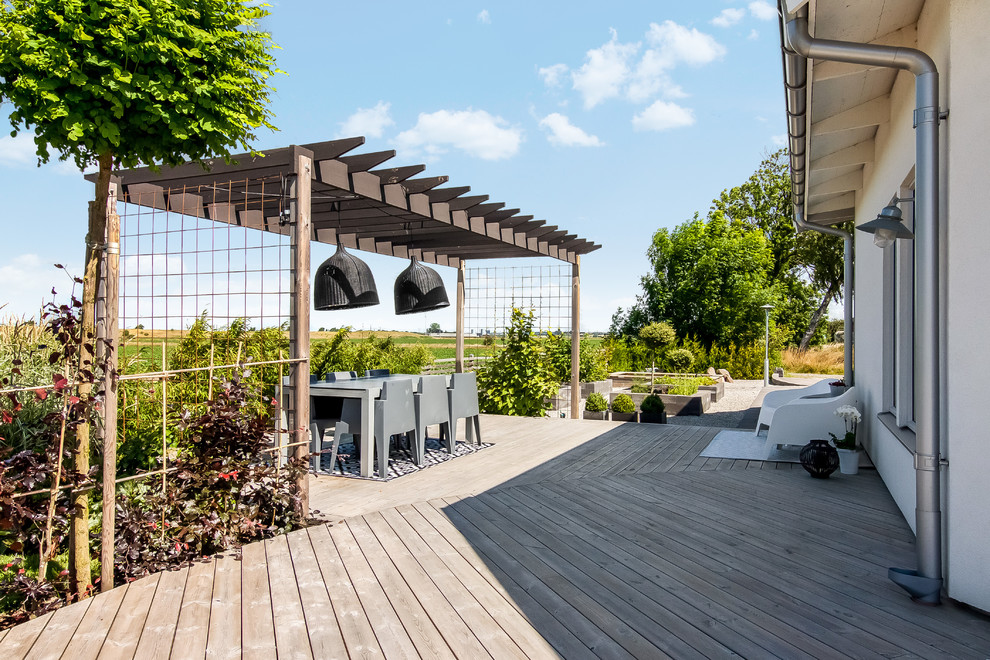 Ejemplo de terraza escandinava grande sin cubierta en patio trasero con jardín de macetas