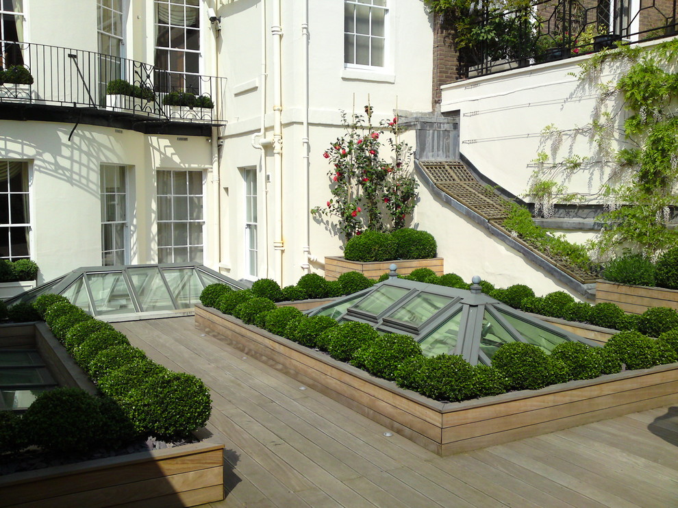 Idee per una terrazza design sul tetto e sul tetto con un giardino in vaso e nessuna copertura