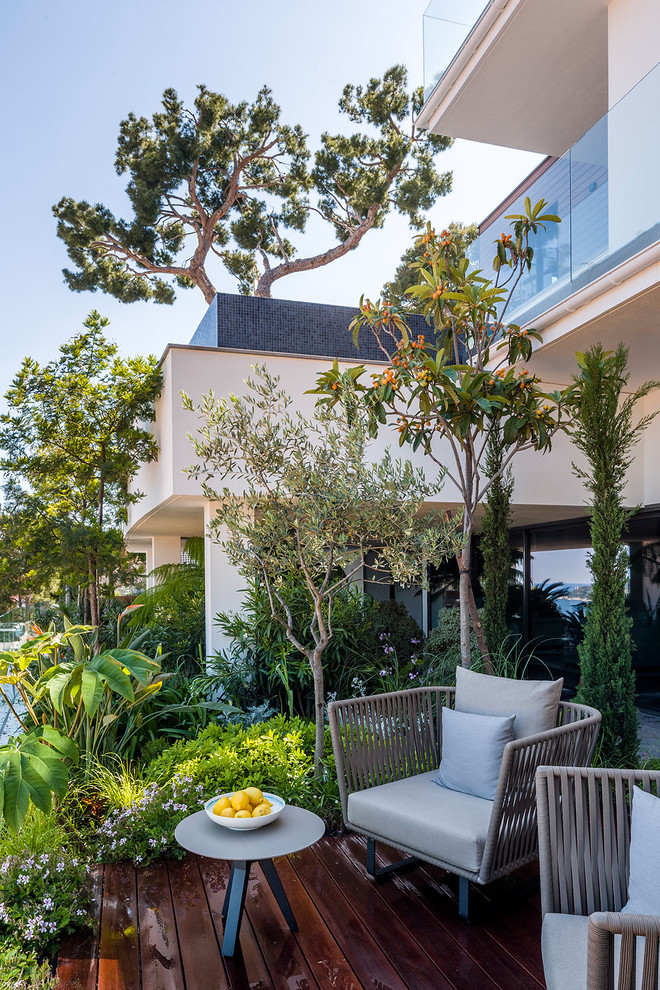 Cette photo montre une terrasse avec des plantes en pots arrière tendance de taille moyenne avec une extension de toiture.