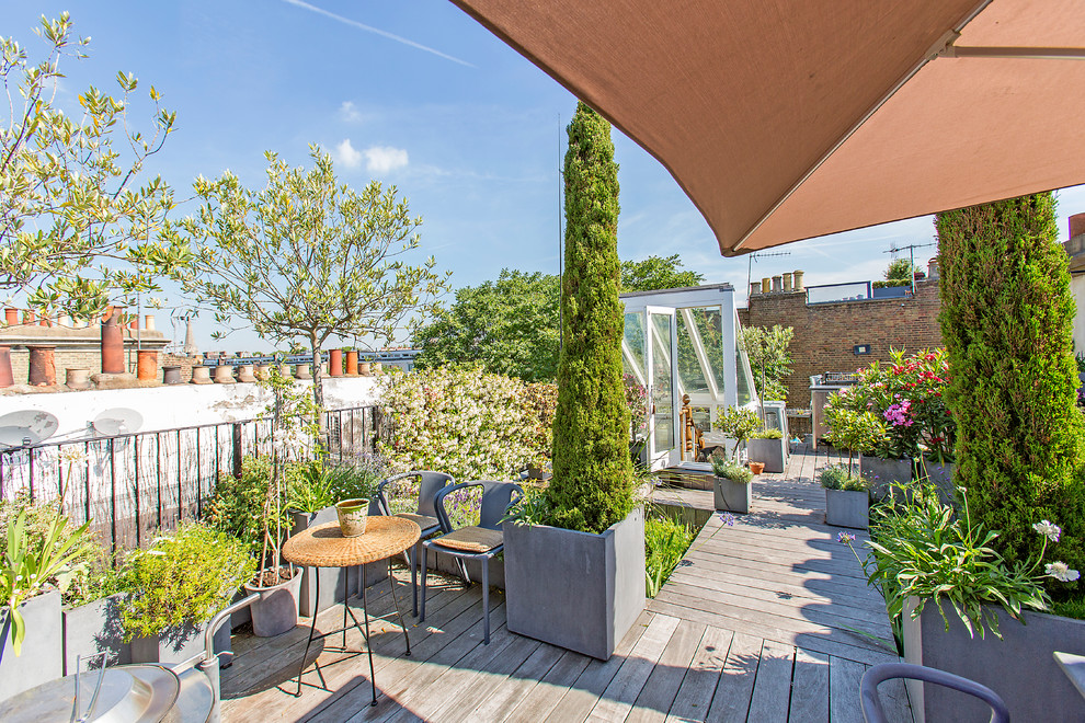 Design ideas for a medium sized contemporary roof terrace in London with a potted garden and no cover.