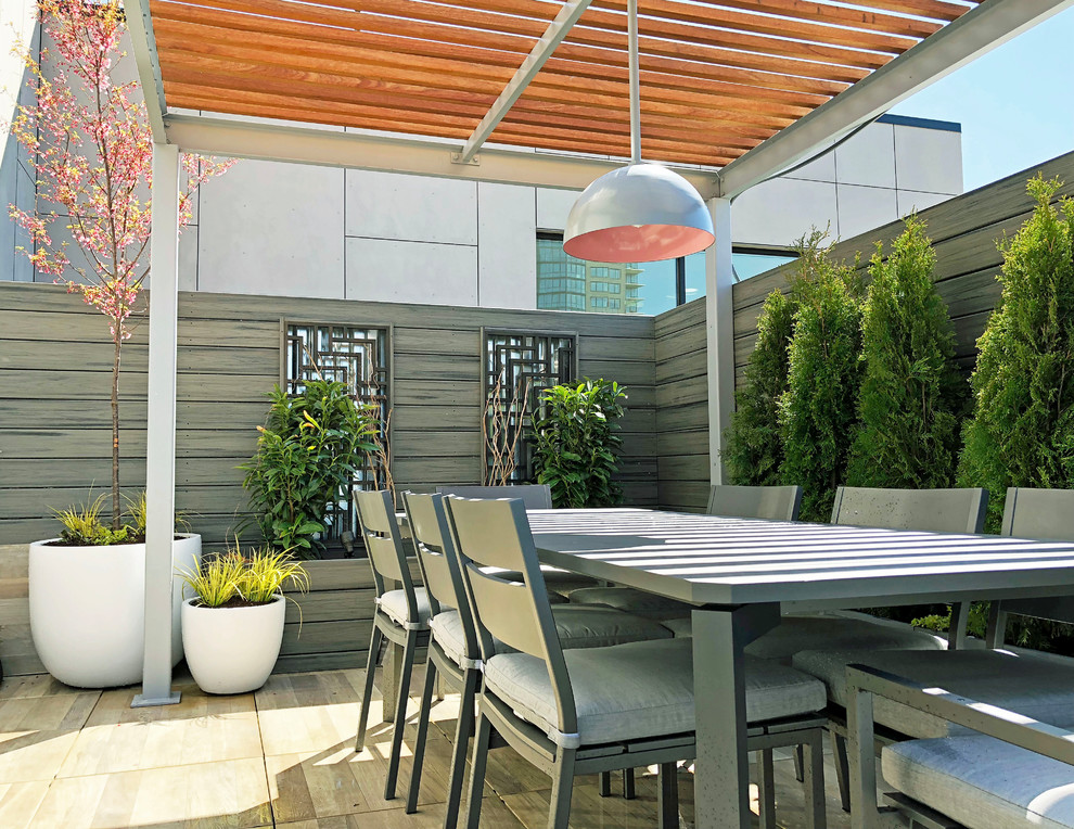 Foto di una terrazza minimal sul tetto e sul tetto con un giardino in vaso e una pergola