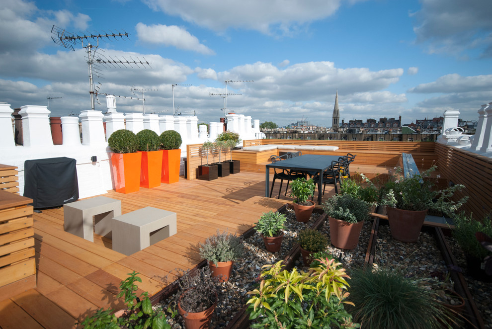 Geräumige Moderne Dachterrasse mit Kübelpflanzen in London