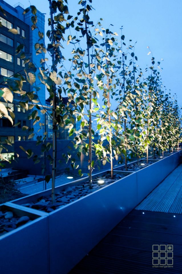 Imagen de terraza minimalista en azotea