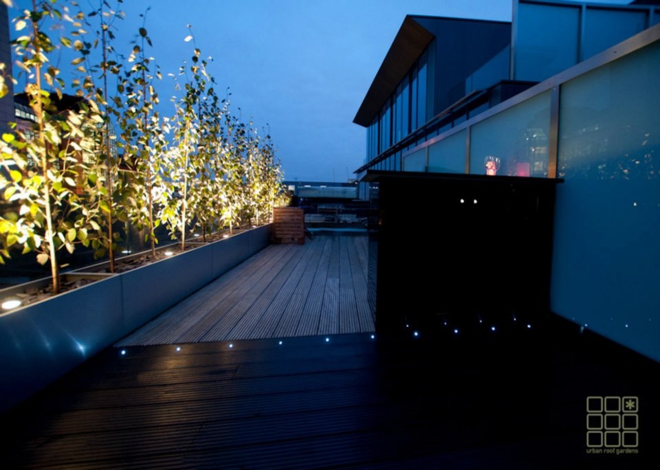 Idee per una terrazza minimalista sul tetto