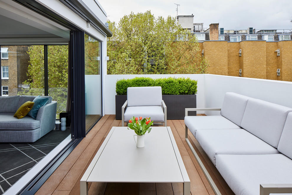 This is an example of a medium sized contemporary terrace in London with a potted garden and no cover.