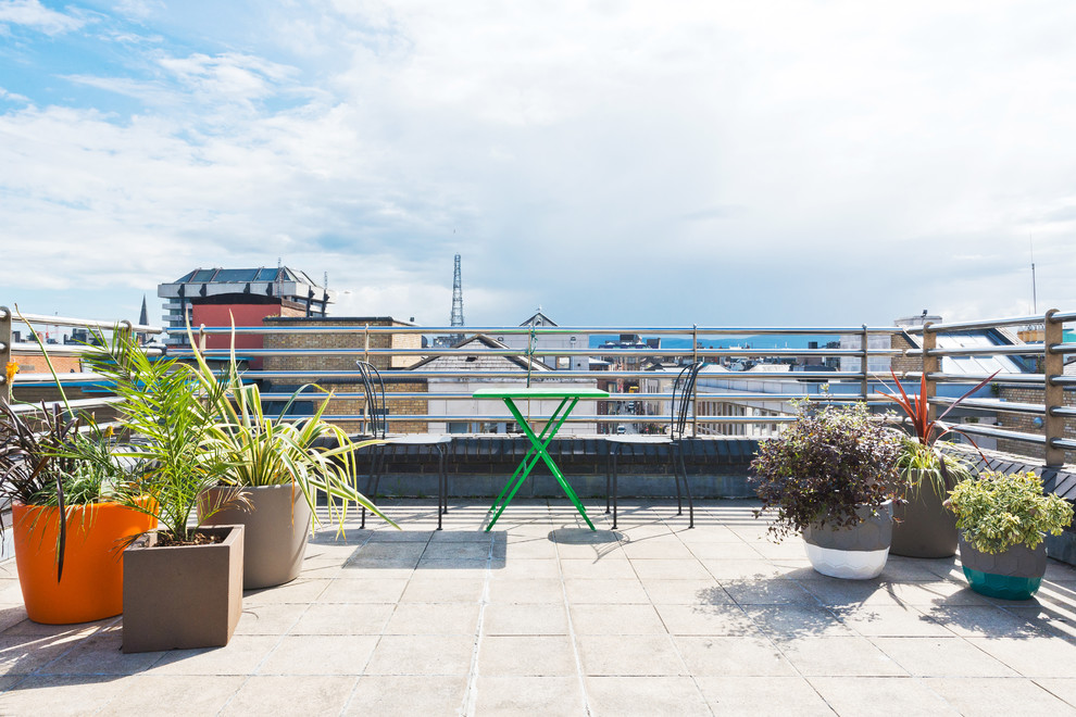 Mittelgroße, Unbedeckte Moderne Dachterrasse im Dach mit Kübelpflanzen in Dublin