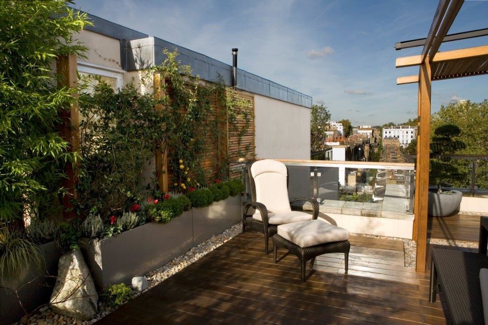 Foto de terraza contemporánea de tamaño medio en azotea con jardín de macetas y pérgola