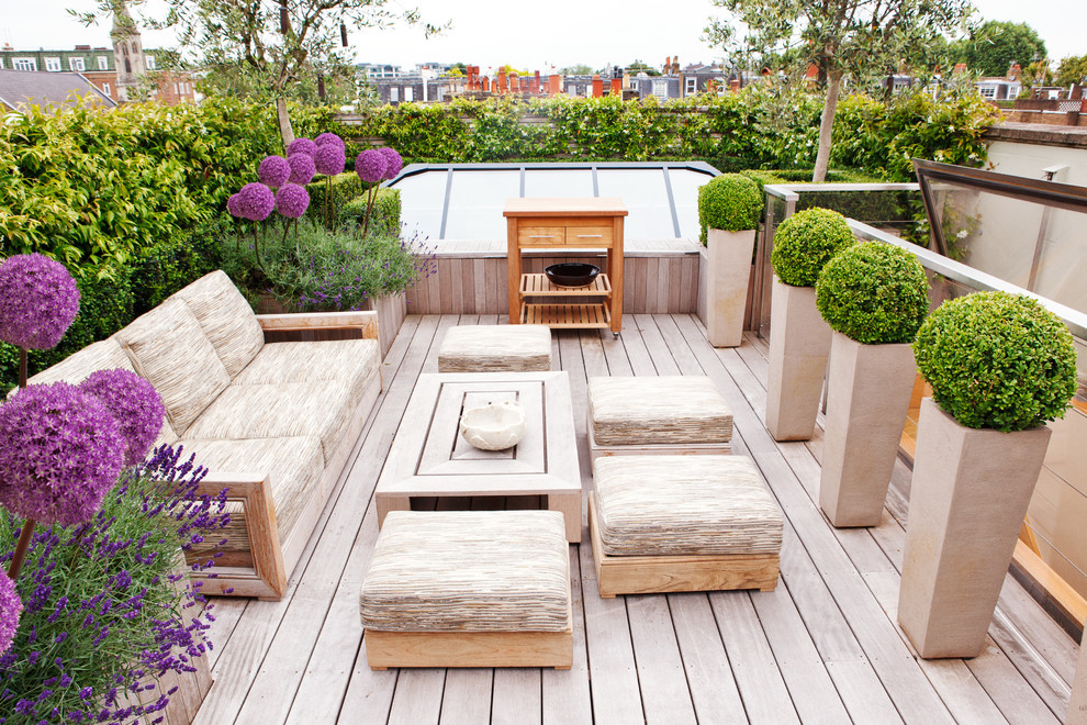 Diseño de terraza contemporánea sin cubierta en azotea con jardín de macetas