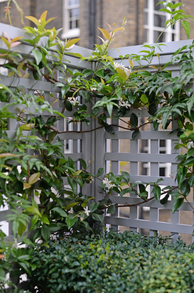 Kleine, Unbedeckte Klassische Dachterrasse mit Kübelpflanzen in London