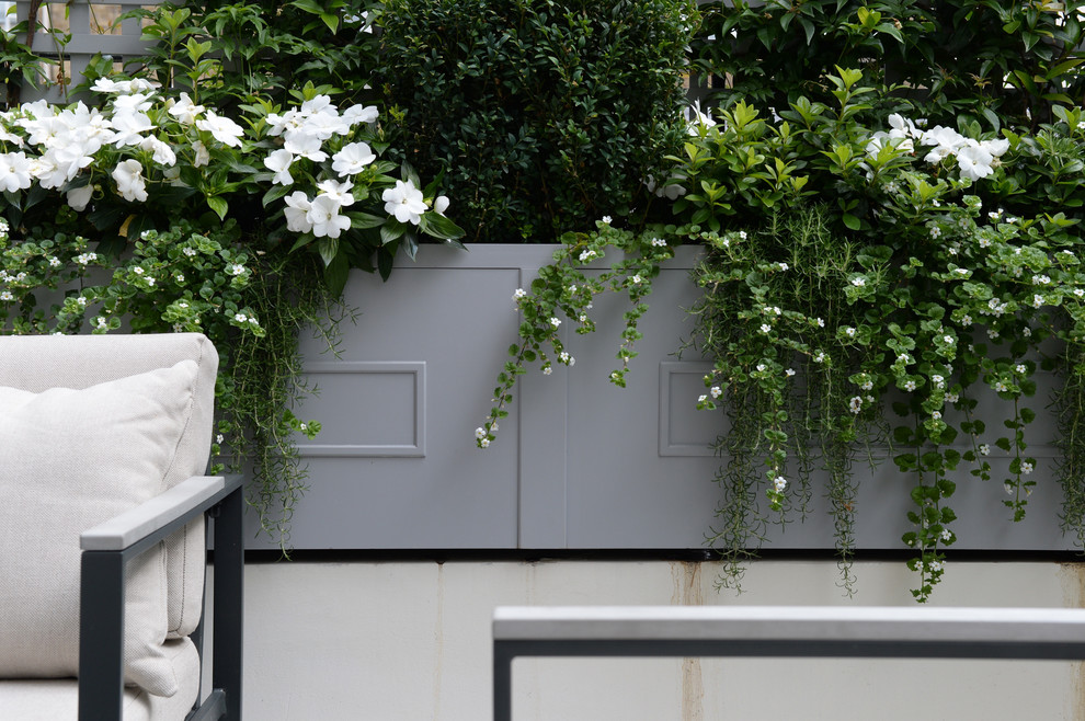 Пример оригинального дизайна: маленькая терраса на крыше в классическом стиле с растениями в контейнерах без защиты от солнца для на участке и в саду