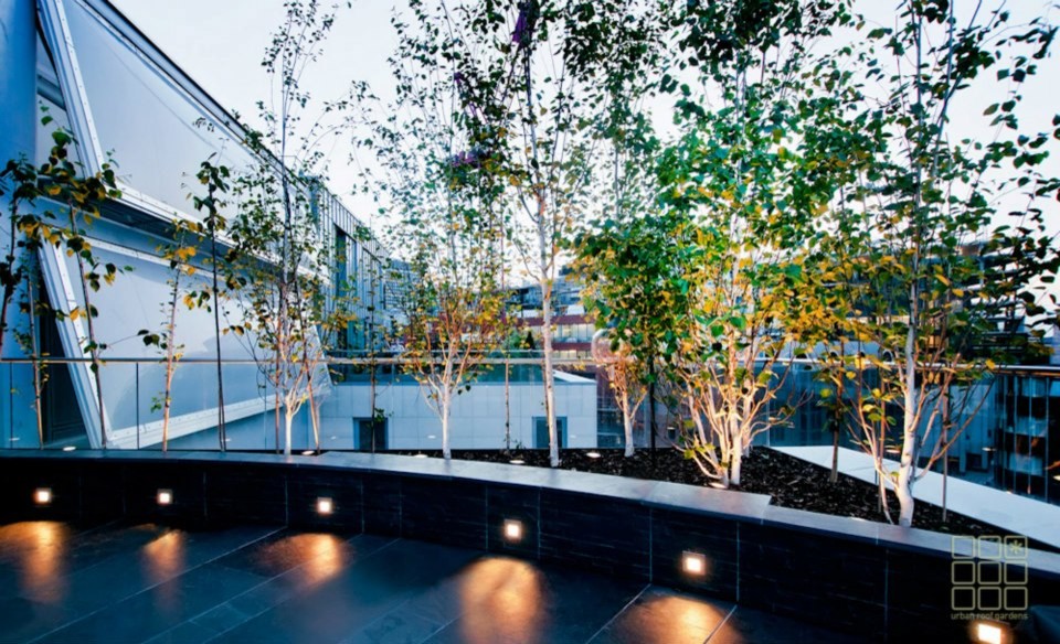 Design ideas for a modern roof terrace in London.