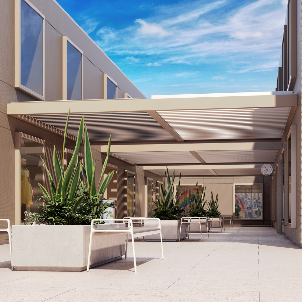 Diseño de terraza contemporánea grande en patio trasero y anexo de casas con jardín de macetas