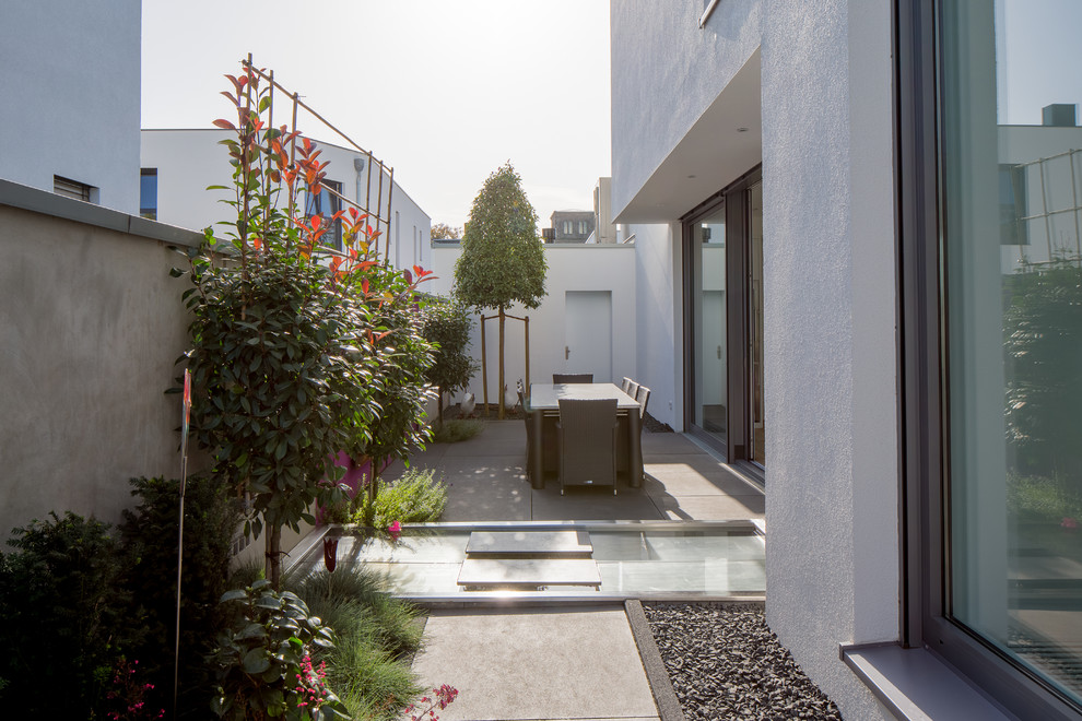 Inspiration för en mellanstor funkis terrass längs med huset, med takförlängning och en vertikal trädgård