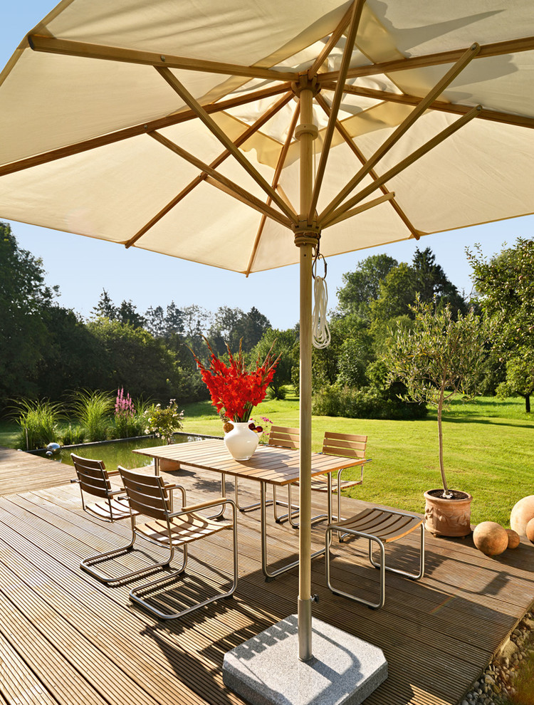 Foto di una terrazza design di medie dimensioni e dietro casa con un giardino in vaso