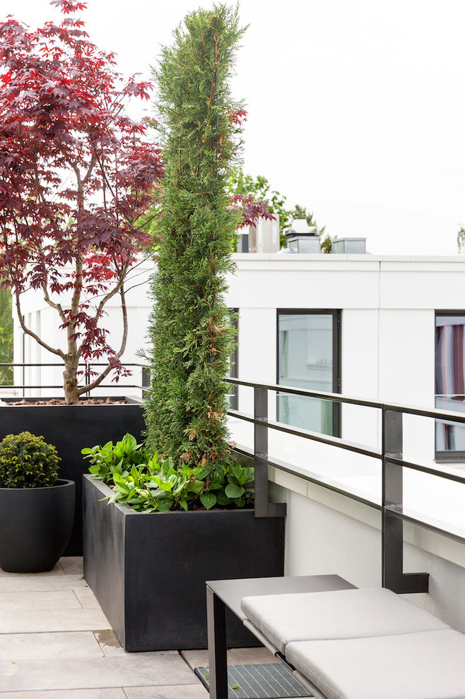 Свежая идея для дизайна: вертикальный сад среднего размера на крыше в современном стиле без защиты от солнца - отличное фото интерьера